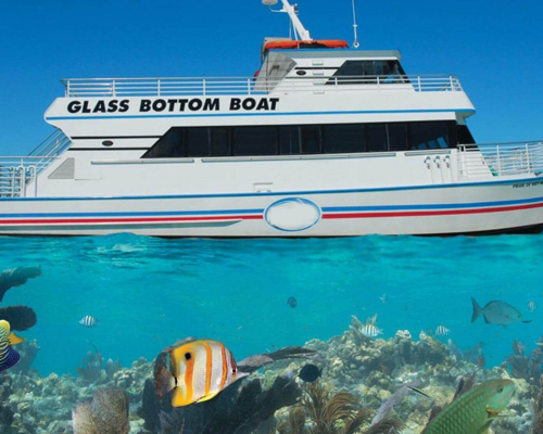 Glass Bottom Ride in Andaman