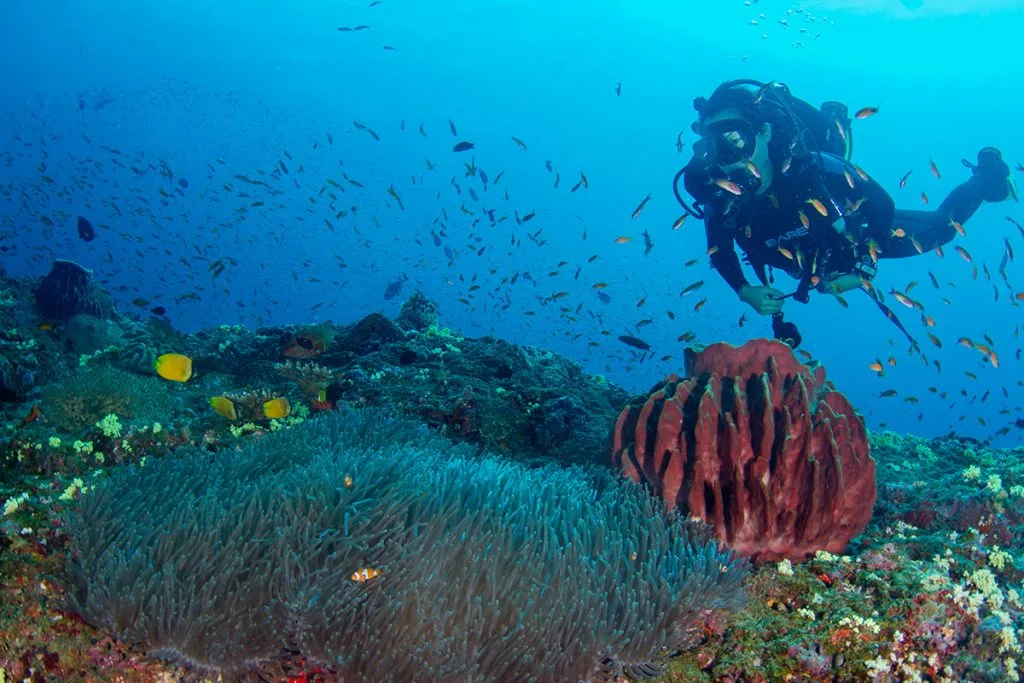 Top 5 things to do in Andaman Islands for travellers