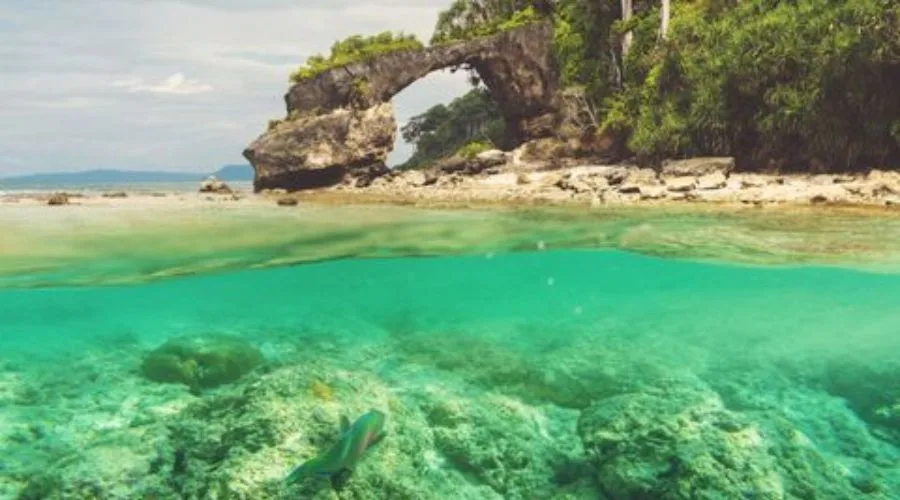 Best Forest Trails in Andaman
