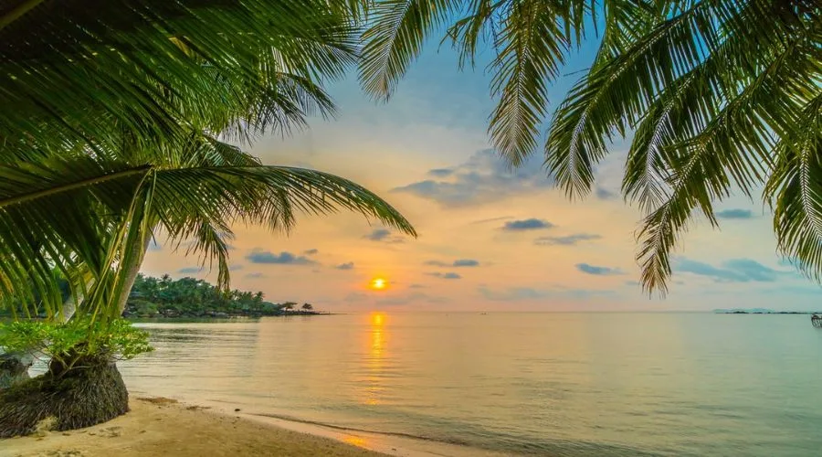 Aves Island Andaman