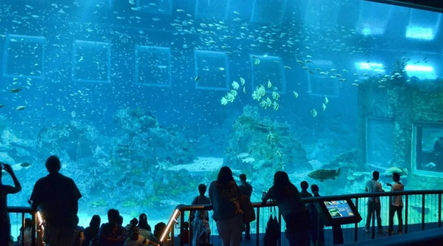 Museums in Andaman: Every One, With Fees, Timings and What’s Actually Worth Your Time