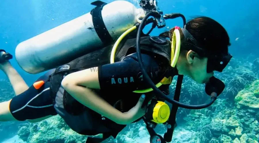 Best Scuba Dive Schools in Andamans