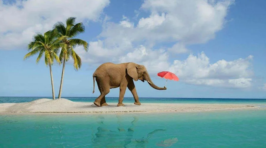 Elephant Island Andamans