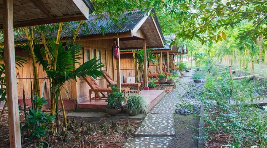 Budget Hotels in Havelock Under ₹2,500: Where to Stay in Swaraj Dweep