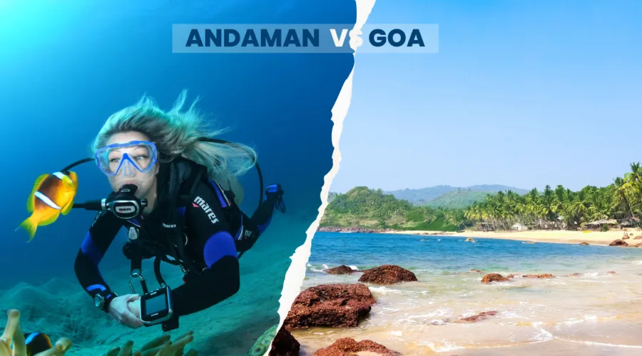 Andaman Vs. Goa, Which to Choose