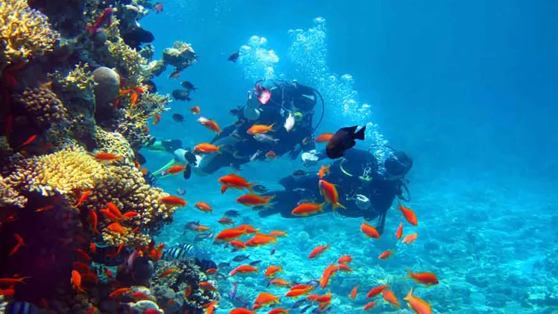 Best Activities to do in Andaman