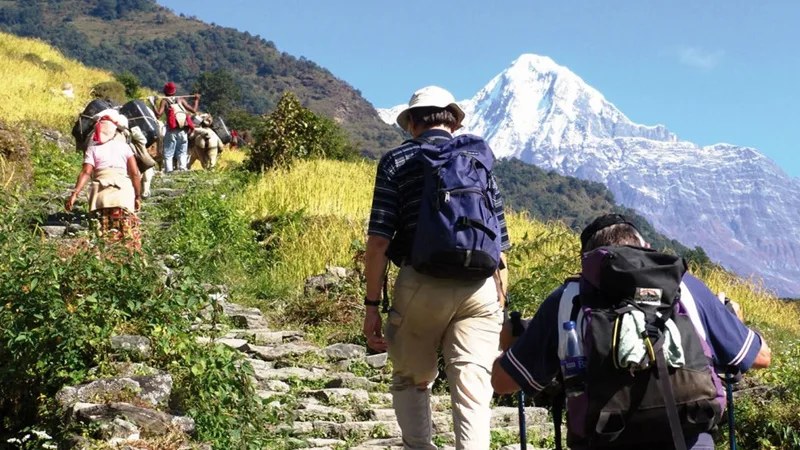 Trekking in Andaman Islands