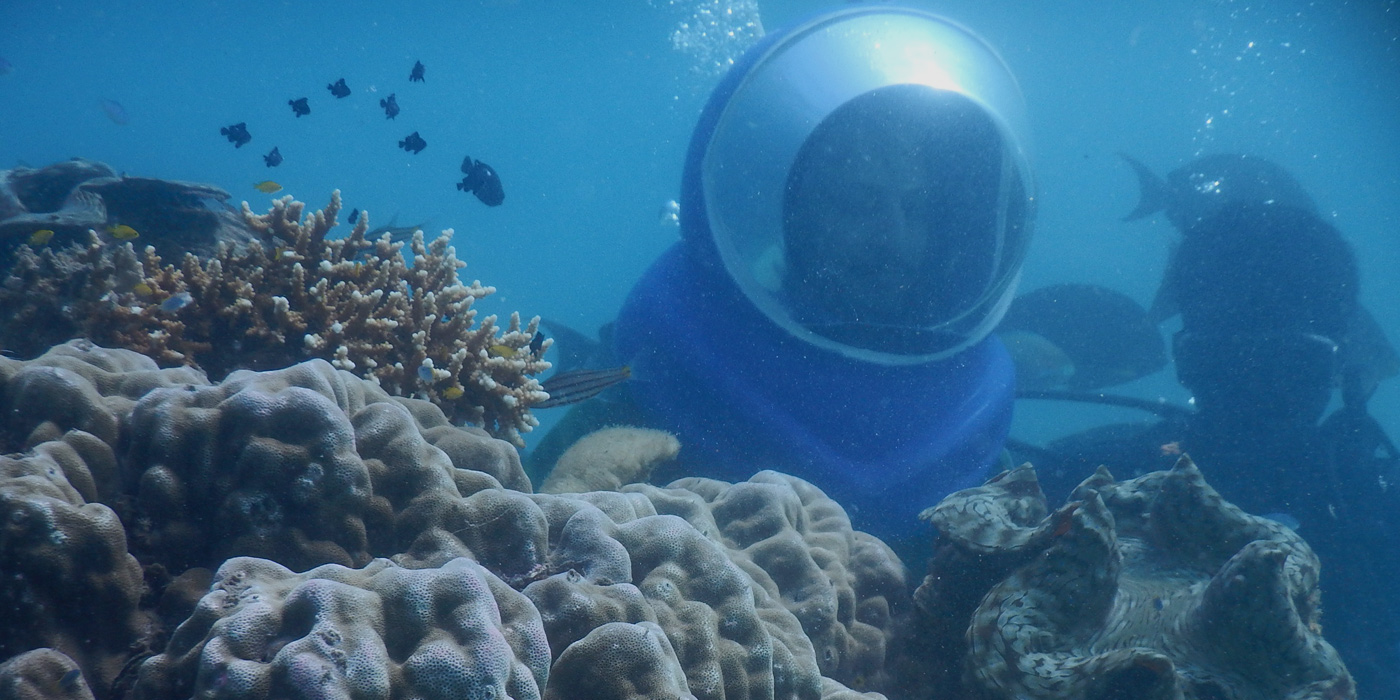 Andaman Tourism - Coral Reefs, Deep Seas