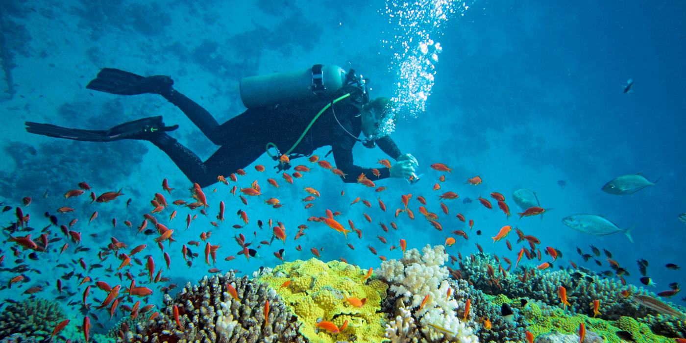 Andaman Tourism - Scuba Diving, Under water sports