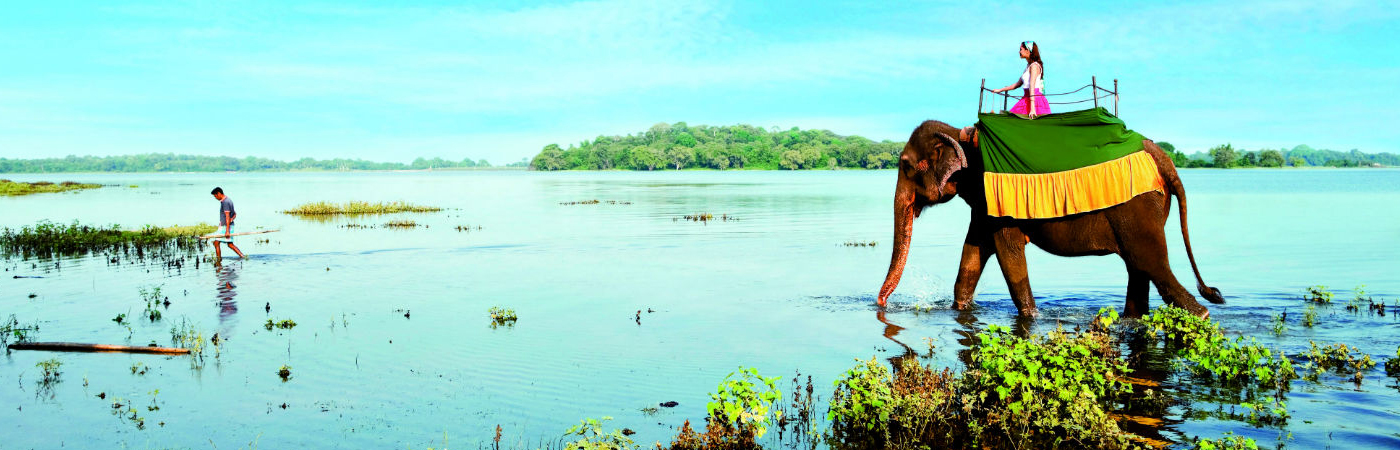 Trekking To Elephant Beach