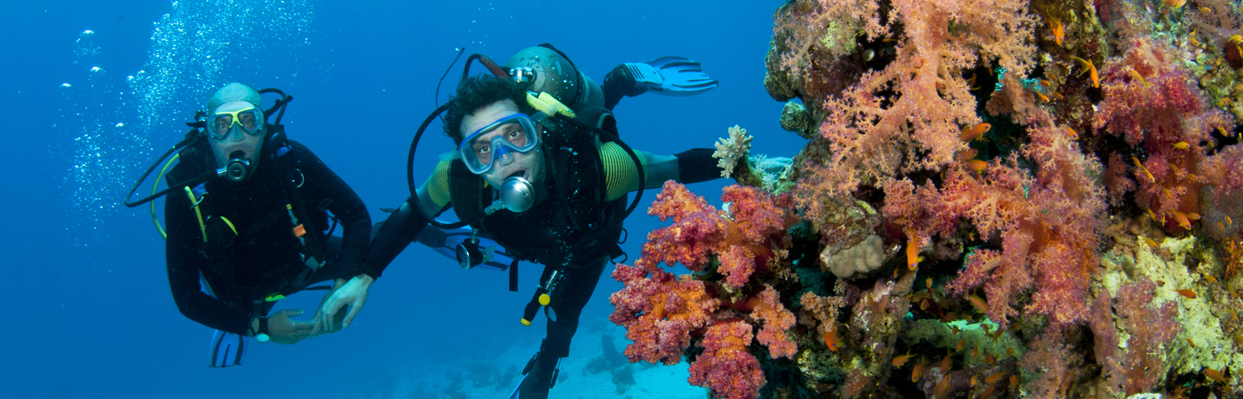 Scuba Diving in Andaman Island