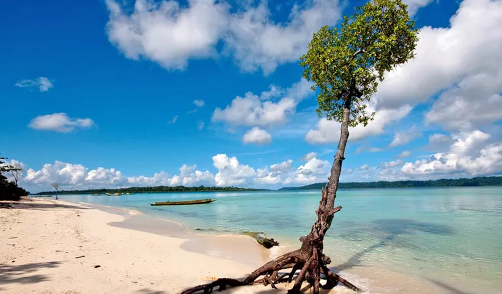 andaman1 Havelock Island - Places to visit in Andaman