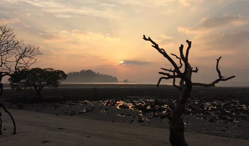 Kalipur Beach, Diglipur in Andaman