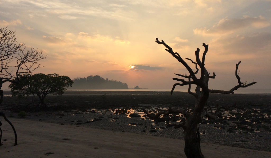 andaman30 Kalipur Beach, Diglipur in Andaman