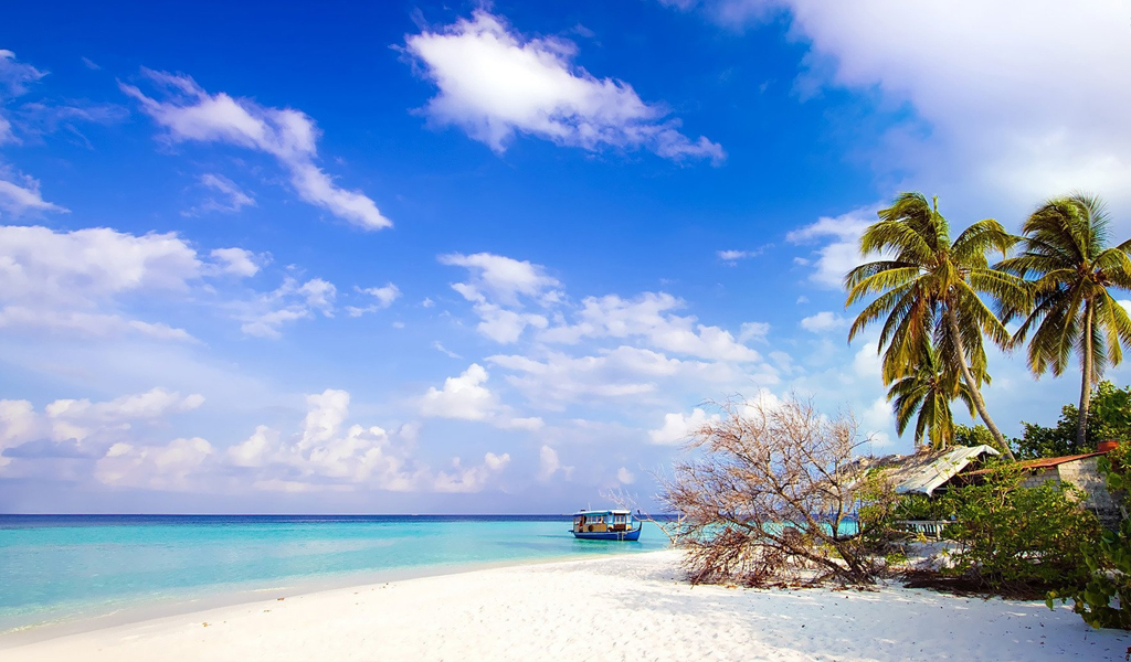 Pathi Level Beach, DIglipur Andaman