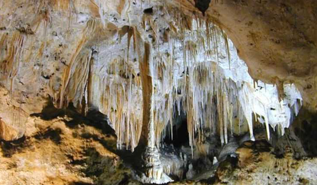 Alfred Cave in Diglipur Andaman