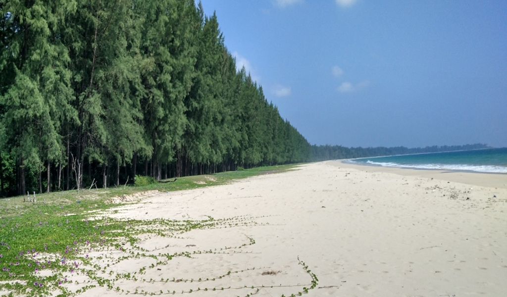 Netaji Nagar Beach - Places to visit in Andaman