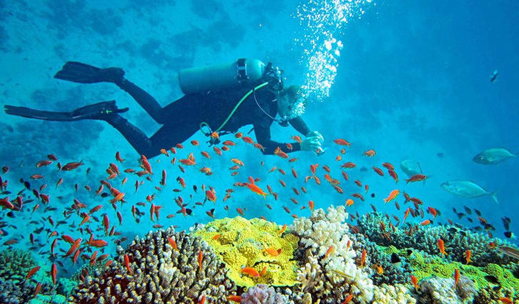 Scuba Diving in North bay Island Andaman