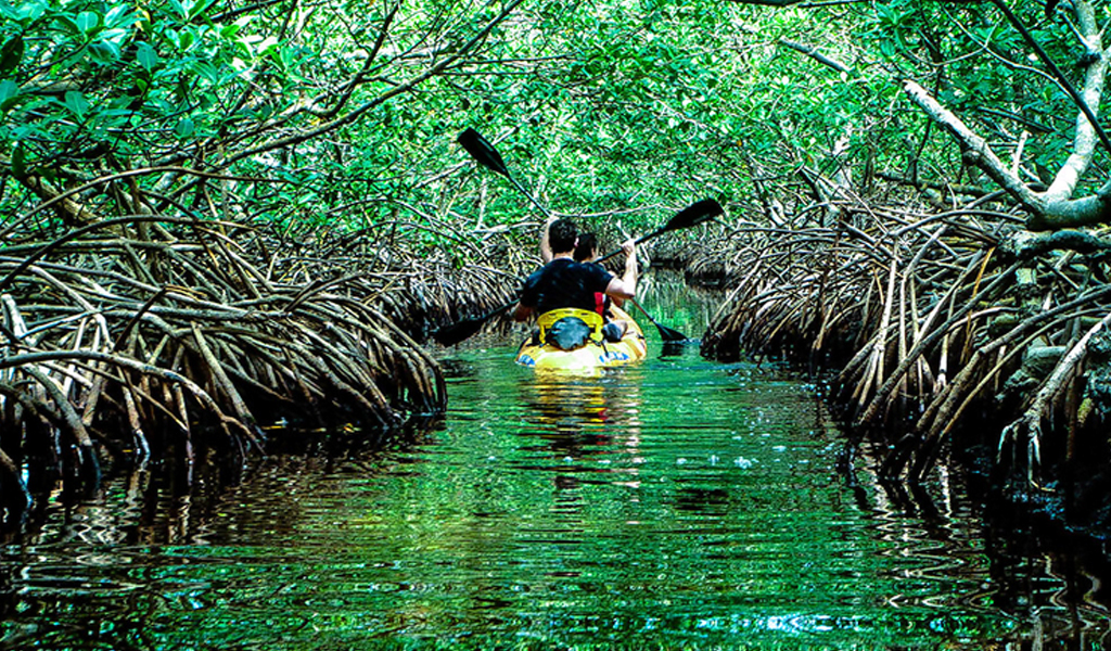 Baratang Island in Andaman