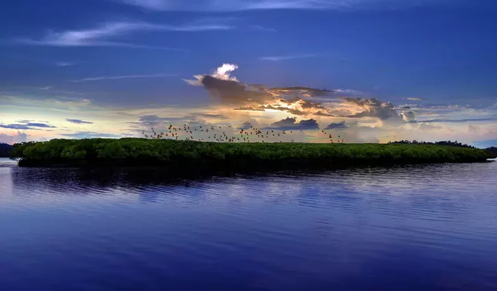 The Parrot Island, Andaman Island