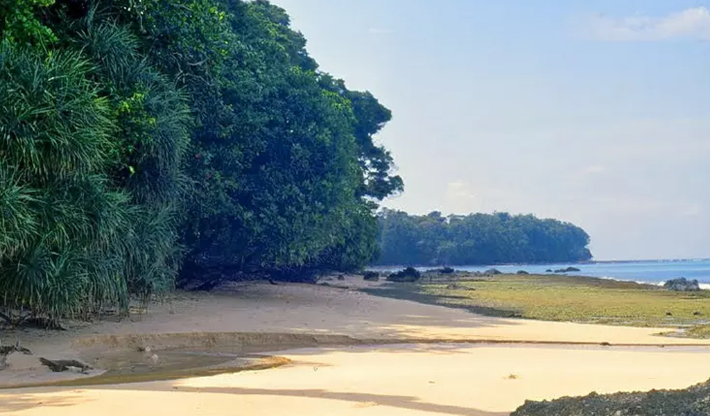 andaman9 Rutland Island - Places to visit in Andaman