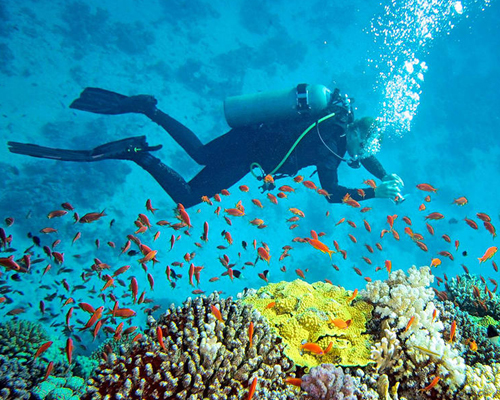 Scuba Diving in Andaman