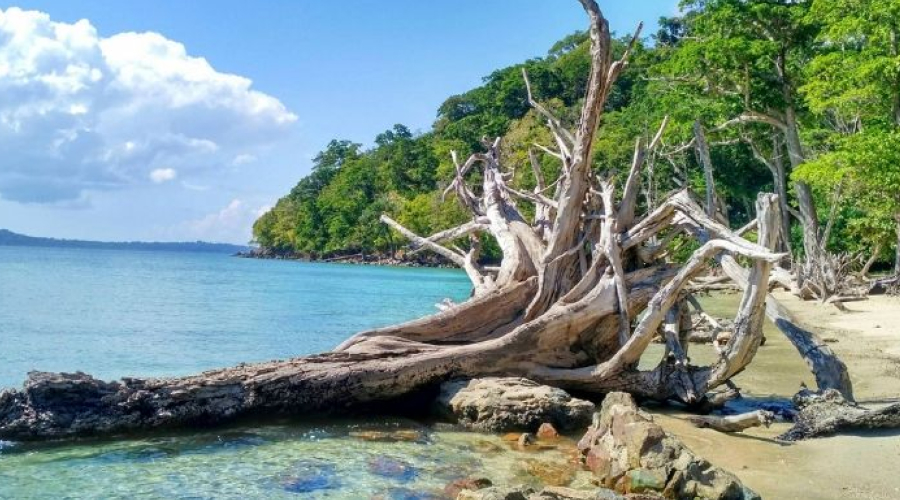 Chidiya Tapu, Birds Island