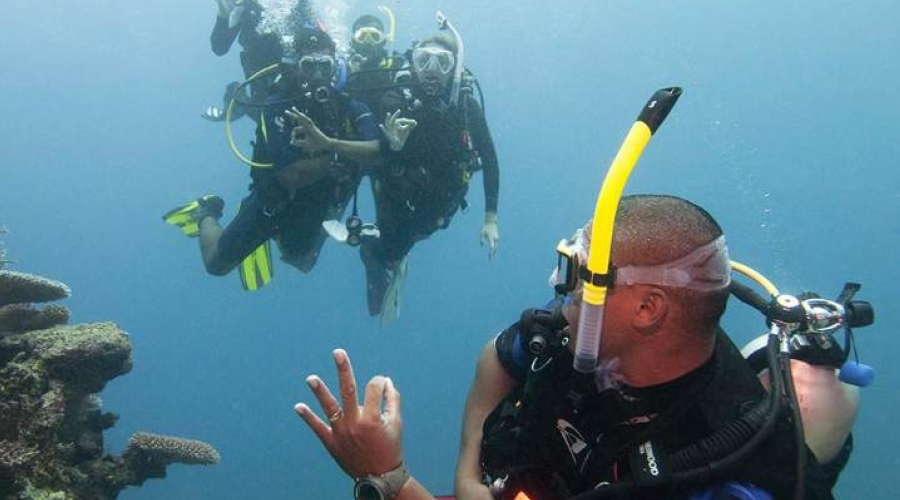 The Dive Master Havelock