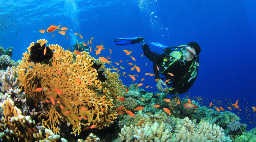 Scuba Diving Experience in Andaman