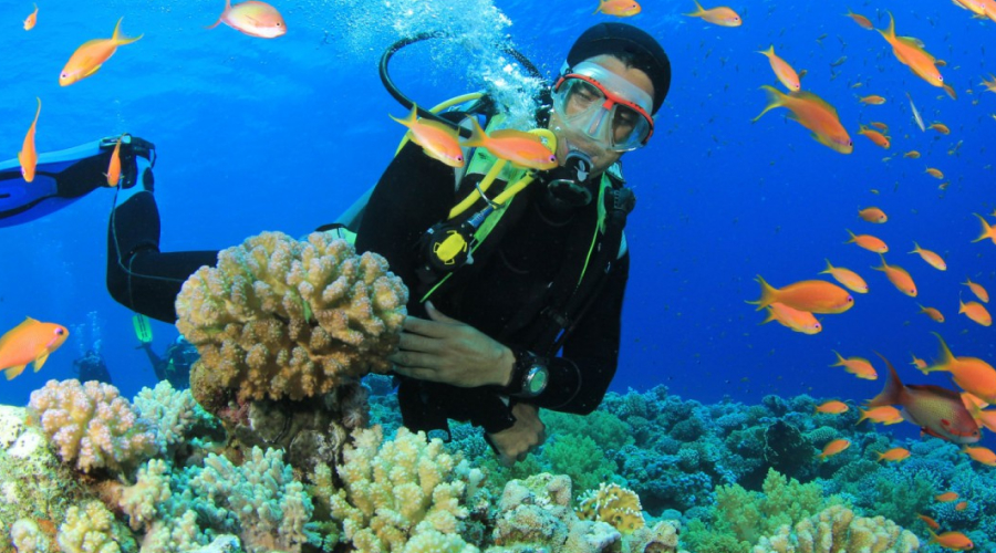 Scuba Diving in Andaman