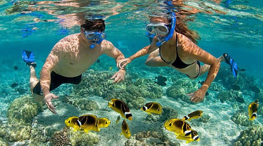 Snorkelling, Elephant Beach