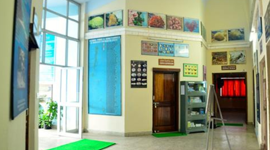 ZSI Museum, Port Blair