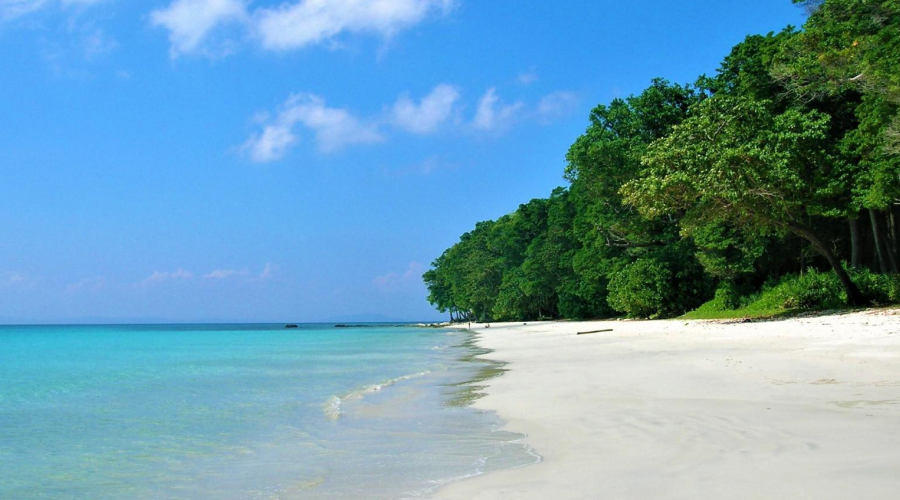 Havelock Island in December