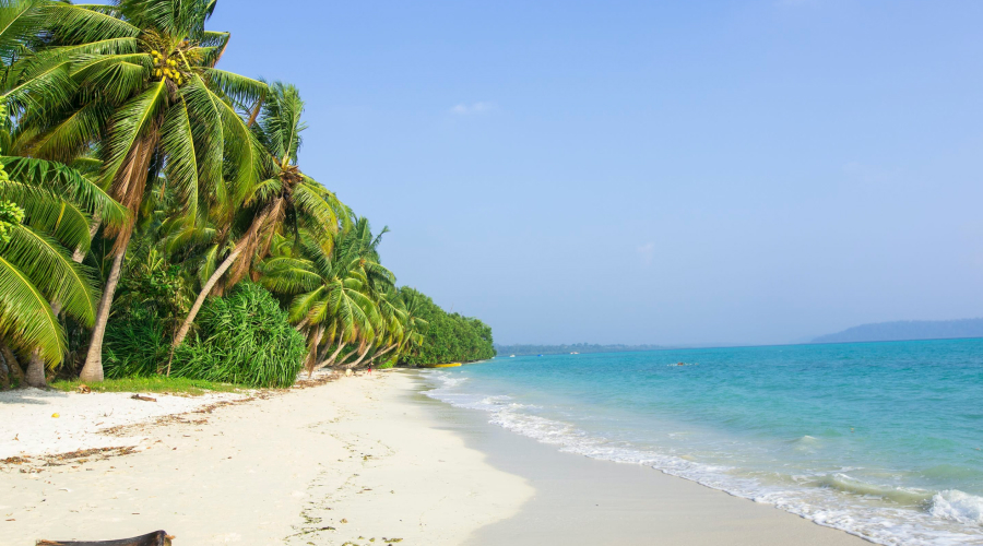 Havelock Island in June