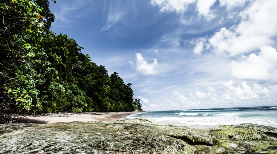 Havelock Island in November