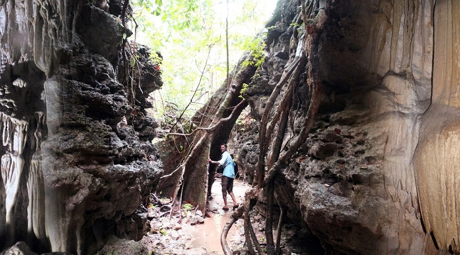 Visiting Limestone Caves