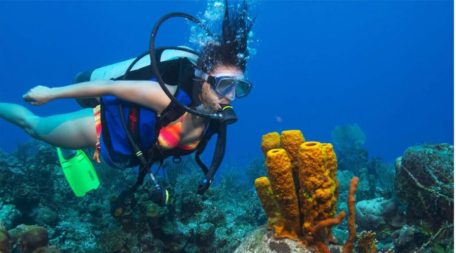 Underwater adventures