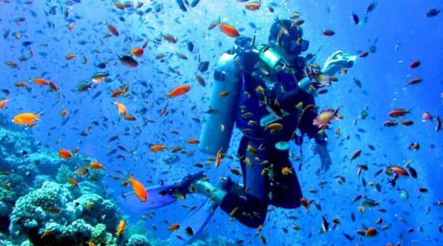 diving in andaman