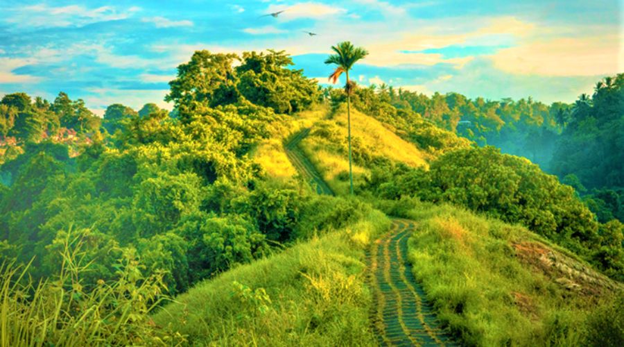 panchavati hills in andaman
