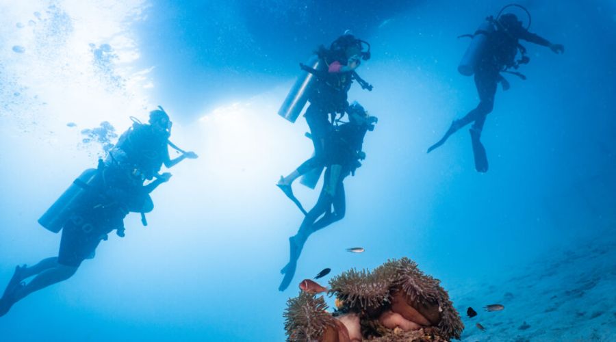Wreck Diving in andaman