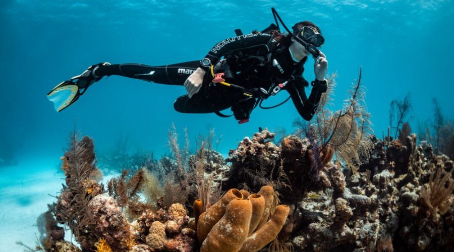 Wreck Diving in andaman