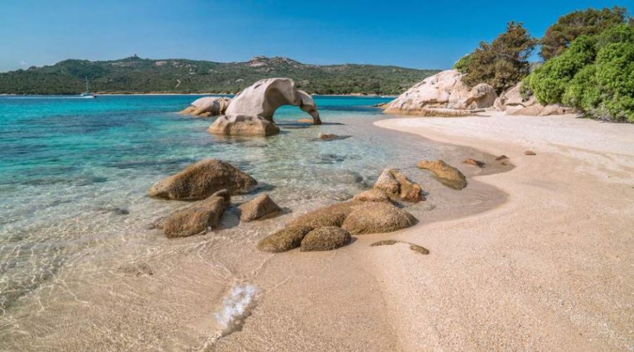 Elephant beach
