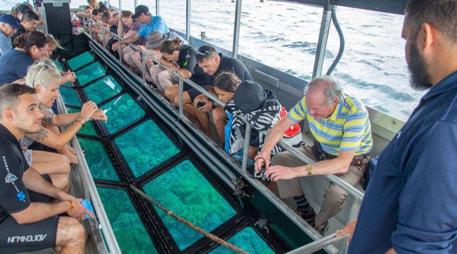 glass bottom boat ride