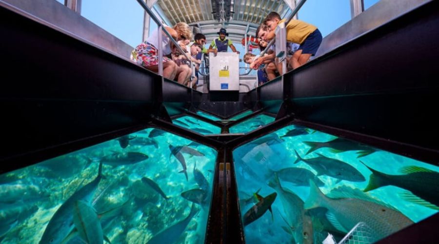glass bottom boat ride