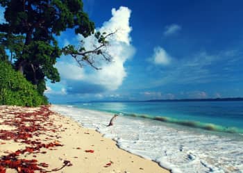 Andaman