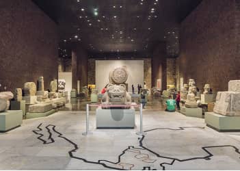 Anthropological museum