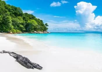 Havelock Island