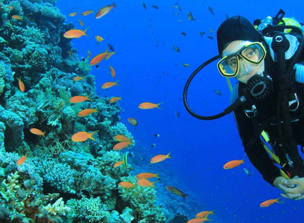 amazing andaman packages