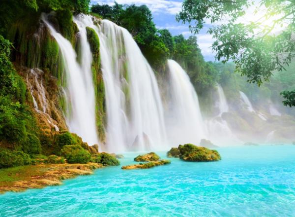 exotic-andaman