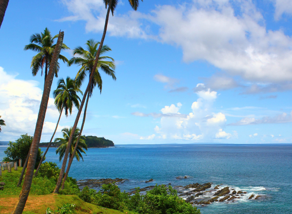 Andaman Bliss Honeymoon